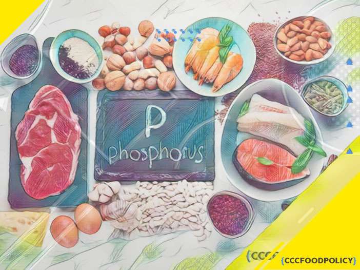 Alimente bogate în fosfor