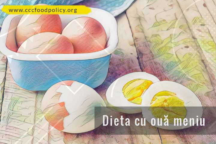 Dietă cu ouă: nou trend alimentar bazat pe acest aliment - CCC Food Policy