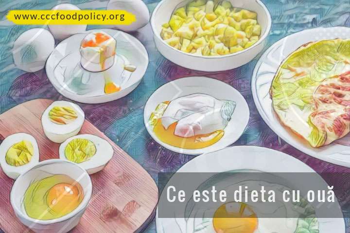 Dietă cu ouă: nou trend alimentar bazat pe acest aliment - CCC Food Policy